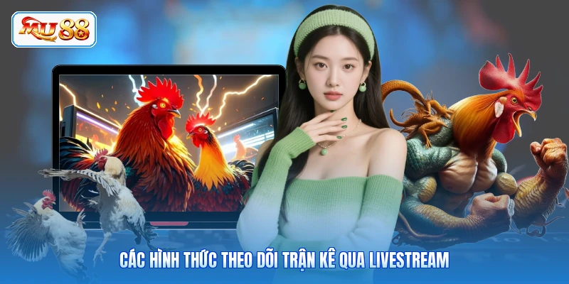 Các hình thức theo dõi trận kê qua livestream