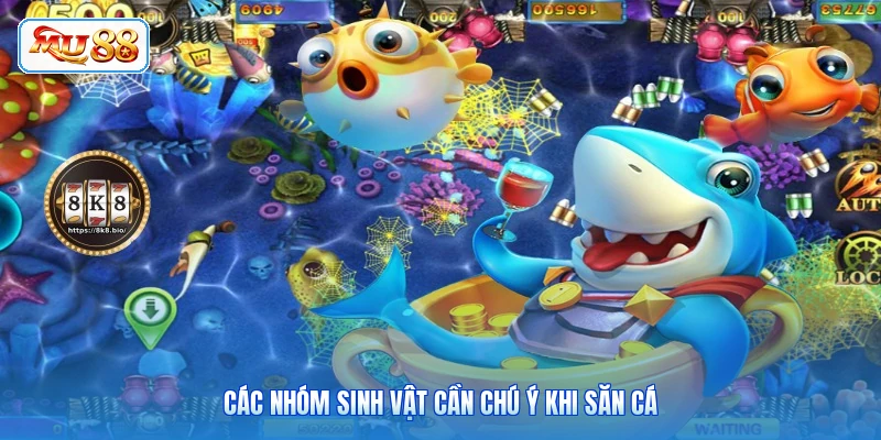 Các nhóm sinh vật cần chú ý khi săn cá