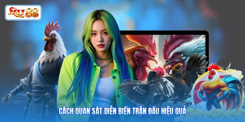 Cách quan sát diễn biến trận đấu hiệu quả
