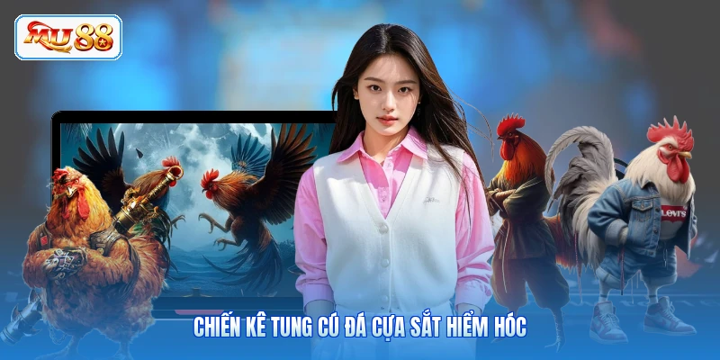 Chiến kê tung cú đá cựa sắt hiểm hóc