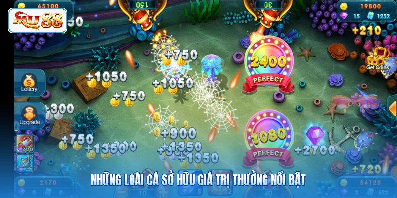 Những loài cá sở hữu giá trị thưởng nổi bật