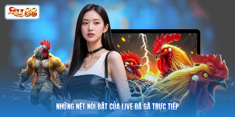 Những nét nổi bật của live đá gà trực tiếp