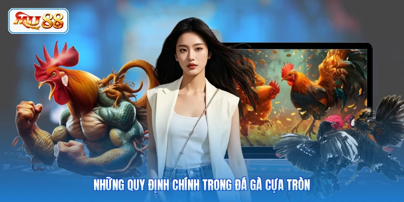 Những quy định chính trong Đá Gà Cựa Tròn