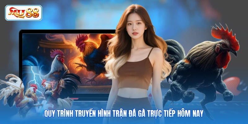 Quy trình truyền hình trận đá gà trực tiếp hôm nay