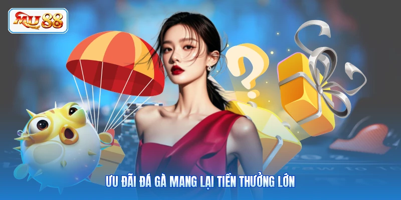 Ưu đãi đá gà mang lại tiền thưởng lớn